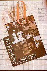 Постер к фильму «Zkouskové období (1991)»