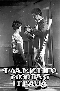 Постер к фильму «Фламинго, розовая птица (1972)»