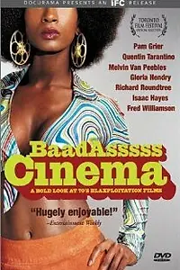Главный постер фильма «Хулиганский кинематограф (2002)»