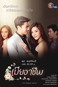 Главный постер сериала «Профессиональная жена (2020)»