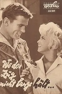 Главный постер фильма «Wo der Zug nicht lange hält (1960)»