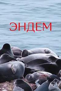 Постер к фильму «Эндем (2021)»