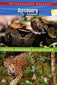 Главный постер фильма «Discovery. Схватка: Анаконда против ягуара (2004)»