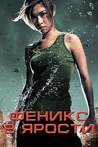 Постер к фильму «Феникс в ярости (2009)»