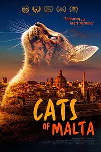 Главный постер фильма «Кошки Мальты (2023)»