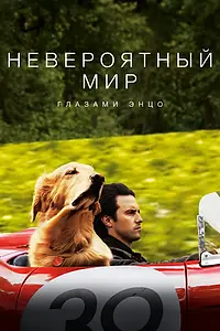 Постер к фильму «Невероятный мир глазами Энцо (2019)»