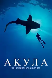 Главный постер сериала «Акула со Стивом Бакшоллом (2021)»