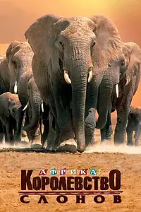 Постер к фильму «Африка — королевство слонов (1998)»