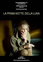 Главный постер фильма «Светлая сторона Луны (2010)»
