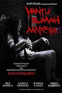Главный постер фильма «Призрак дома на улице Ампера (2009)»