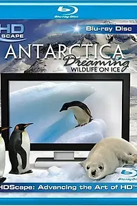Главный постер фильма «Антарктика — Дикая жизнь на льду (2006)»