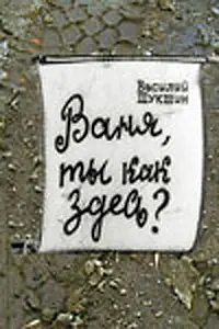Постер к фильму «Ваня, ты как здесь? (1971)»