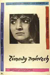 Постер к фильму «Зимние сумерки (1956)»