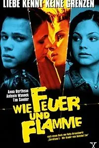 Постер к фильму «Как огонь и пламя (2001)»