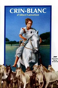 Главный постер фильма «Белая грива: Дикая лошадь (1953)»