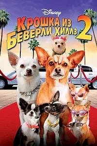 Постер к фильму «Крошка из Беверли-Хиллз 2 (2010)»