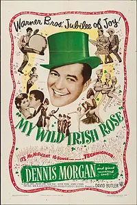 Постер к фильму «Моя дикая ирландская роза (1947)»