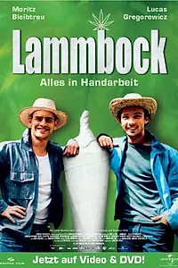Главный постер фильма «Ламмбок – всё ручной работы (2001)»