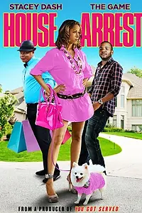 Постер к фильму «Домашний арест (2012)»