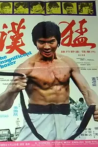 Постер к фильму «Meng han (1973)»