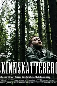 Главный постер фильма «Скиннскаттеберг (2008)»