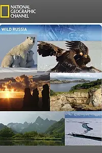 Постер к сериалу «Дикая природа России (2008)»