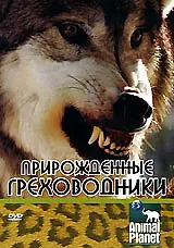 Главный постер фильма «Прирожденные греховодники (2003)»