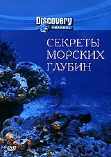 Главный постер фильма «Секреты морских глубин (1998)»