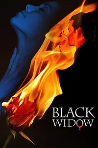 Постер к фильму «Вдова (2010)»