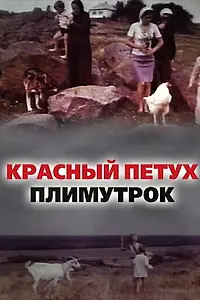 Главный постер фильма «Красный петух плимутрок (1975)»