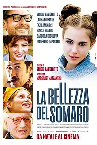 Главный постер фильма «Красота осла (2010)»