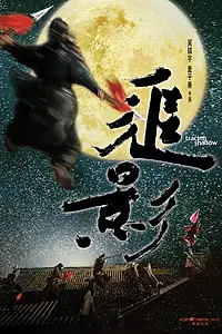 Главный постер фильма «В погоне за тенью (2009)»
