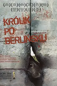 Главный постер фильма «Кролик по-берлински (2009)»