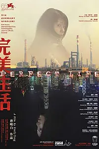 Главный постер фильма «Идеальная жизнь (2008)»