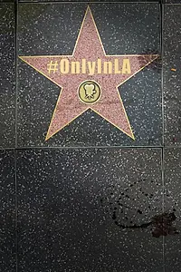Постер к фильму «Only in L.A. (2013)»