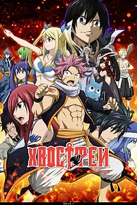 Постер к аниме «Хвост Феи (2009 - 2019)»