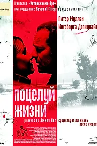 Постер к фильму «Поцелуй жизни (2003)»