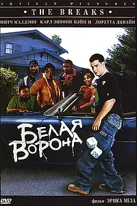 Постер к фильму «Белая ворона (1999)»