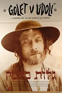 Постер к фильму «Голет в долине (1995)»