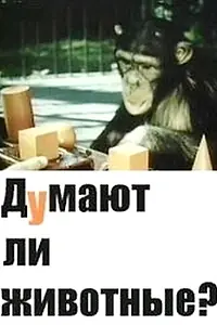 Постер к фильму «Думают ли животные? (1970)»
