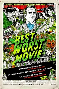 Постер к фильму «Лучший фильм из худших (2009)»