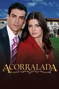 Постер к сериалу «Загнанная (2007 - 2008)»
