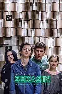 Постер к сериалу «Sekasin (2016)»
