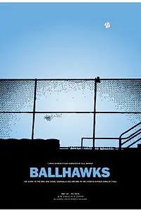 Главный постер фильма «Ястребы на высоте (2010)»