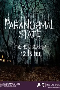 Постер к сериалу «Паранормальный штат (2007)»