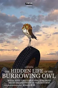 Постер к мультфильму «The Hidden Life of the Burrowing Owl (2008)»