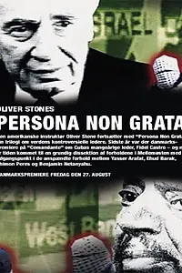 Главный постер фильма «Персона нон грата (2003)»