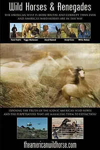 Постер к фильму «Долина разочарования (2010)»