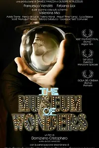 Главный постер фильма «Музей чудес (2010)»