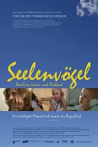 Постер к фильму «Seelenvögel (2009)»